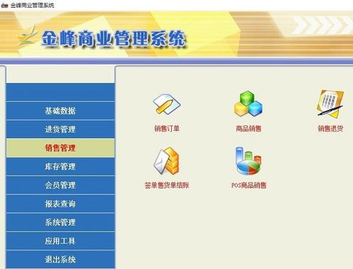 金峰商业管理系统 驱动现代企业高效运营的软件解决方案